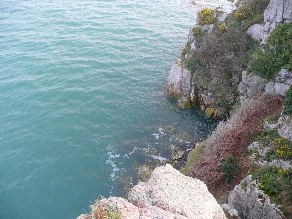 Hotel Les Agapanthes Ploubazlanec Dış mekan fotoğraf